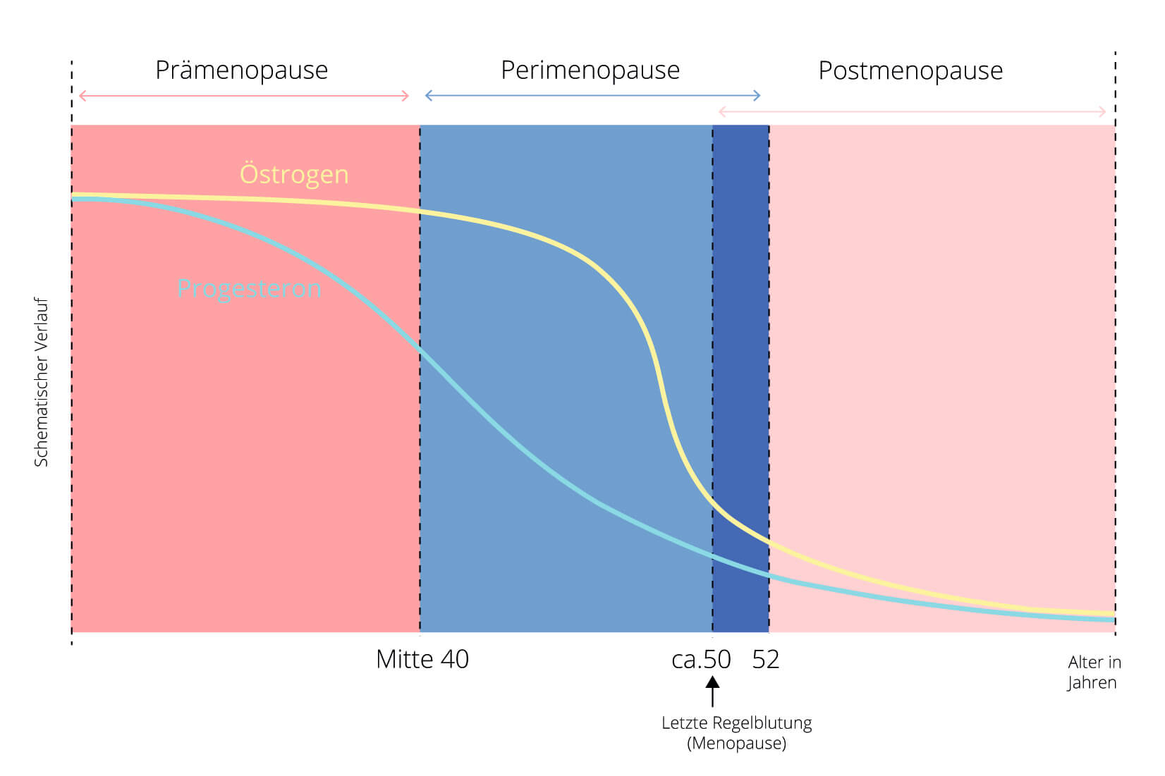 Grafik-Menopause
